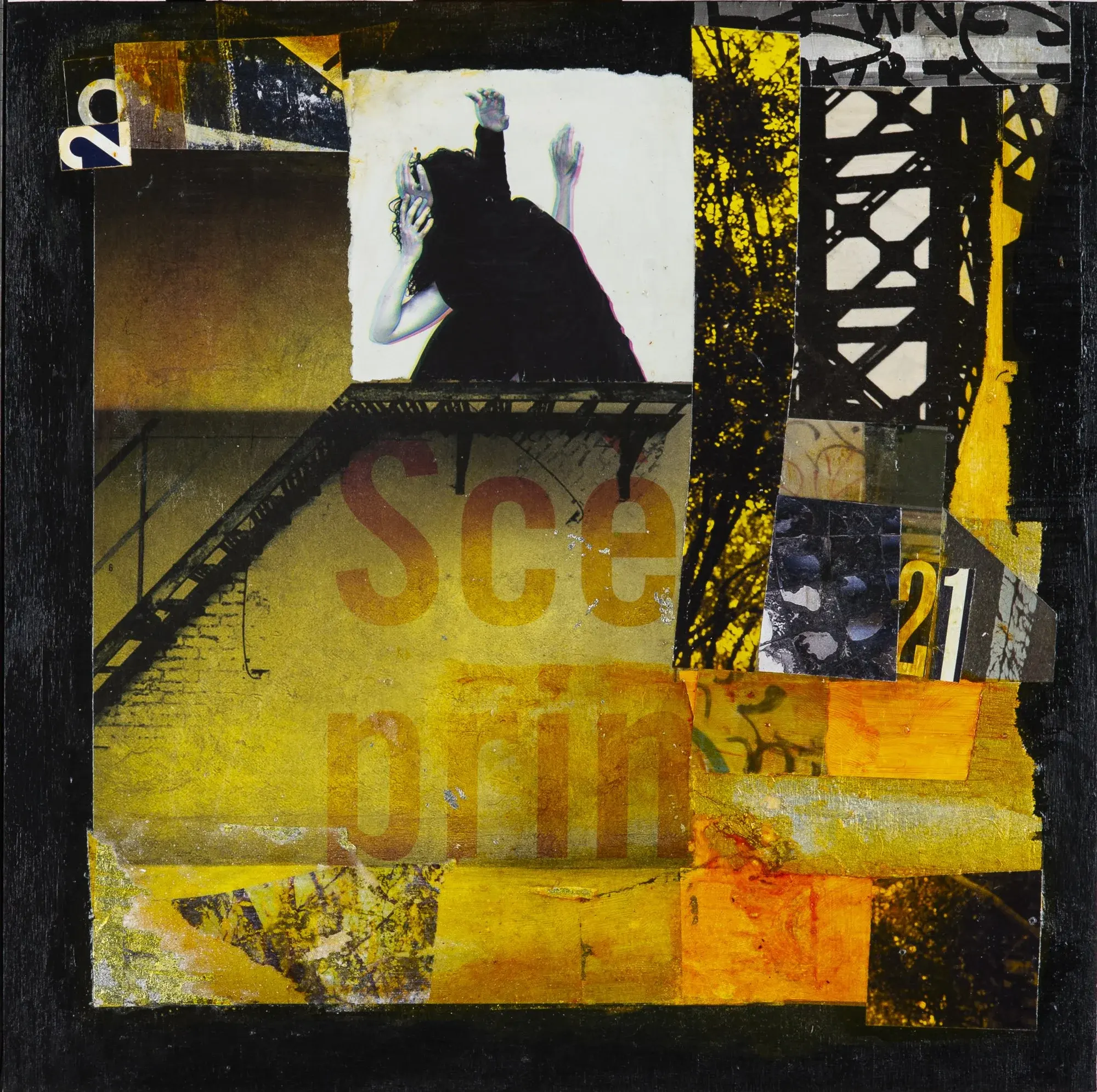 SHAPE IT