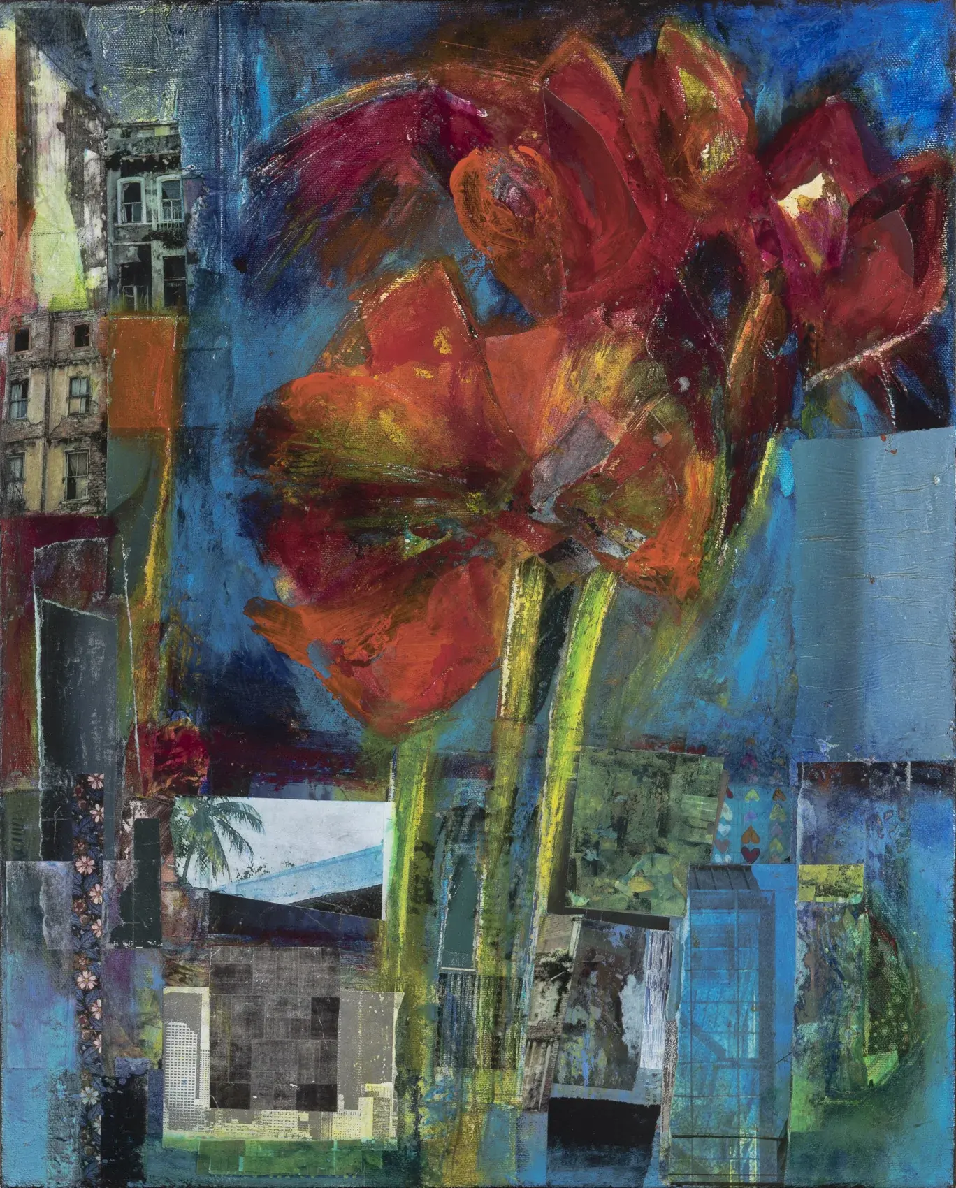 Red Amaryllis