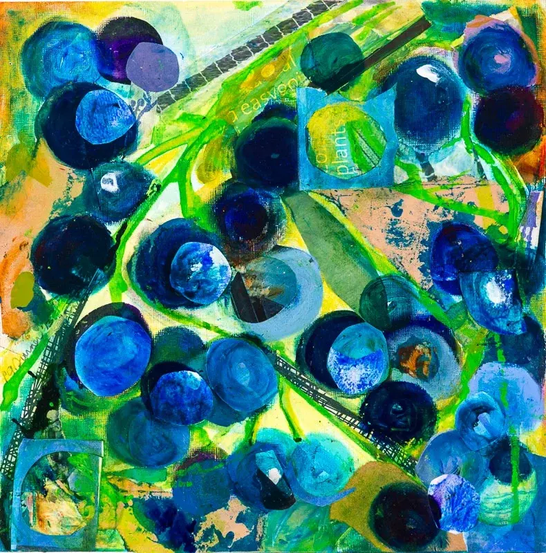 Blueberries