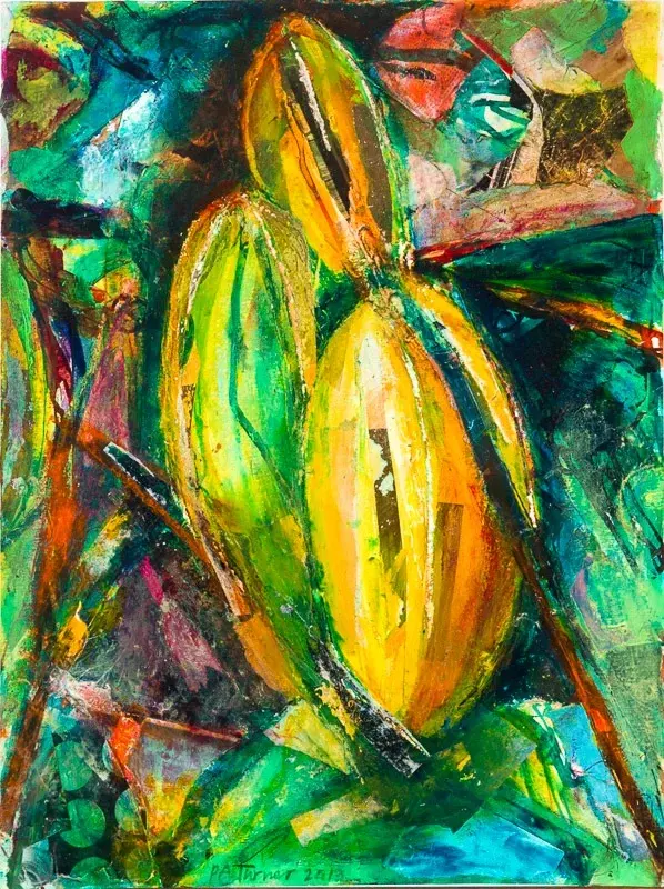 Carambola