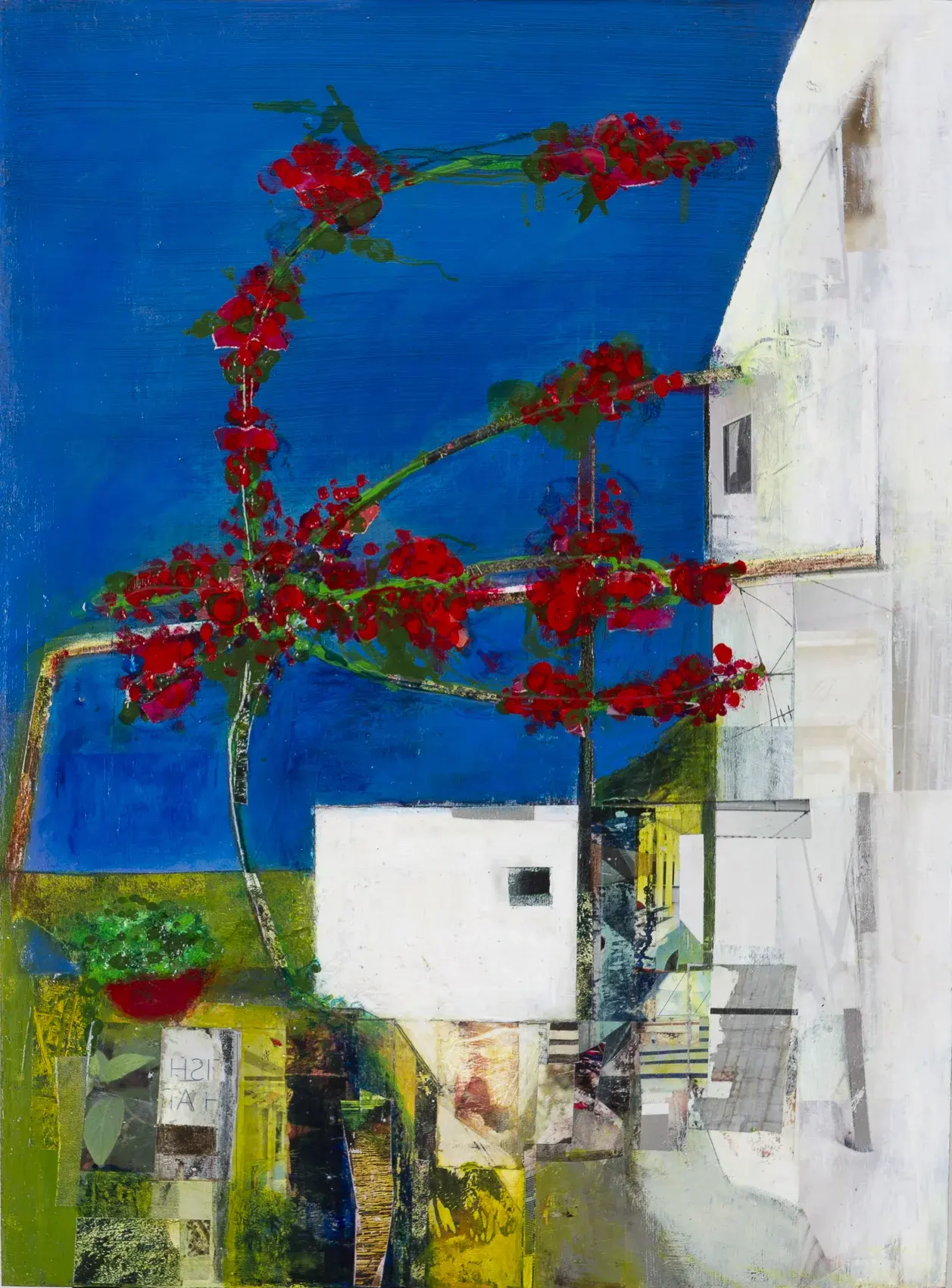 Bougainvillea Archway